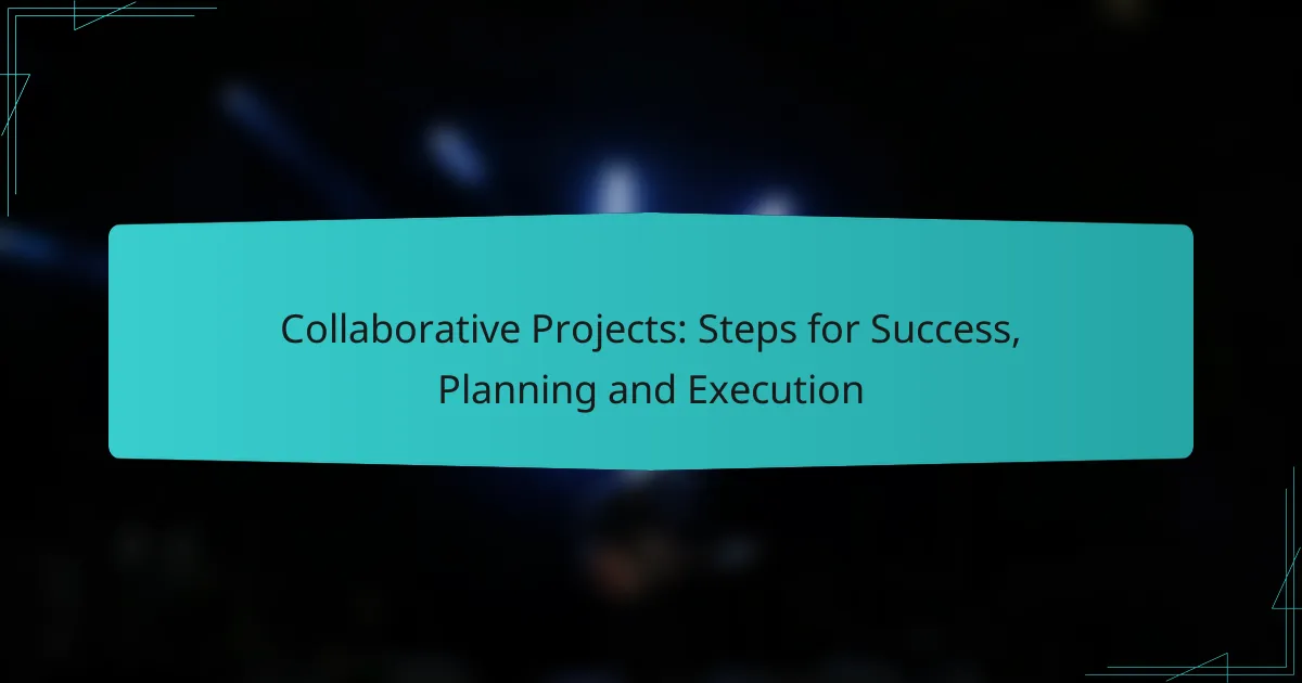 Collaborative Projects: Steps for Success, Planning and Execution