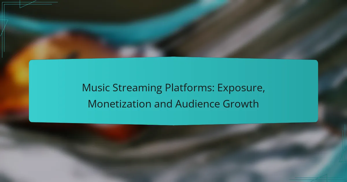 Music Streaming Platforms: Exposure, Monetization and Audience Growth