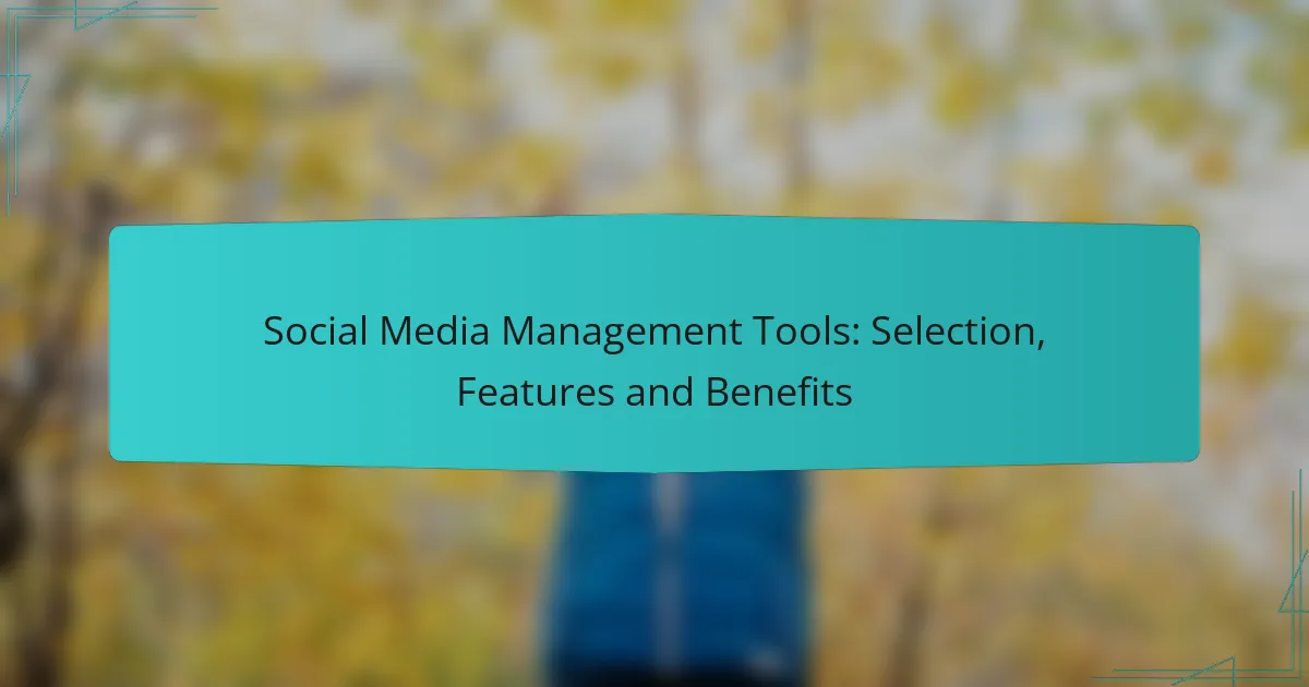 Social Media Management Tools: Selection, Features and Benefits