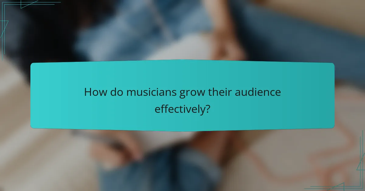 How do musicians grow their audience effectively?