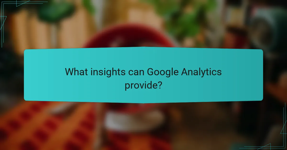 What insights can Google Analytics provide?