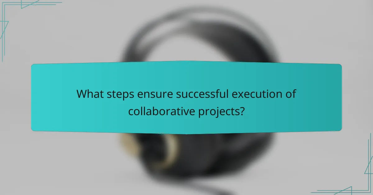 What steps ensure successful execution of collaborative projects?